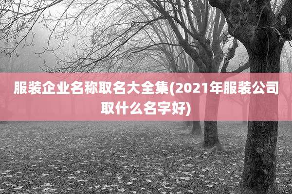 服装企业名称取名大全集(2021年服装公司取什么名字好)