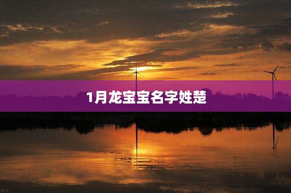 1月龙宝宝名字姓楚