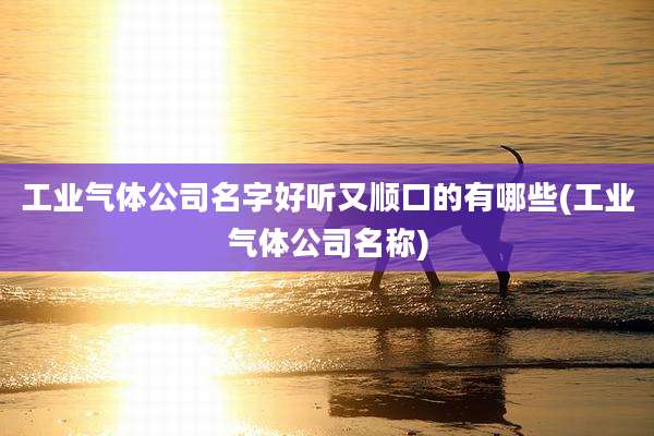 工业气体公司名字好听又顺口的有哪些(工业气体公司名称)