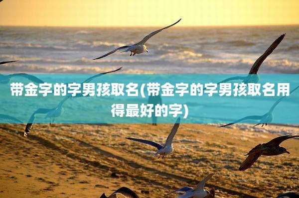 带金字的字男孩取名(带金字的字男孩取名用得最好的字)