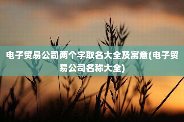 电子贸易公司两个字取名大全及寓意(电子贸易公司名称大全)