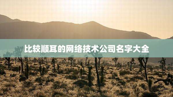 比较顺耳的网络技术公司名字大全