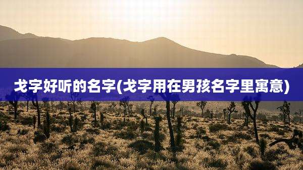 戈字好听的名字(戈字用在男孩名字里寓意)