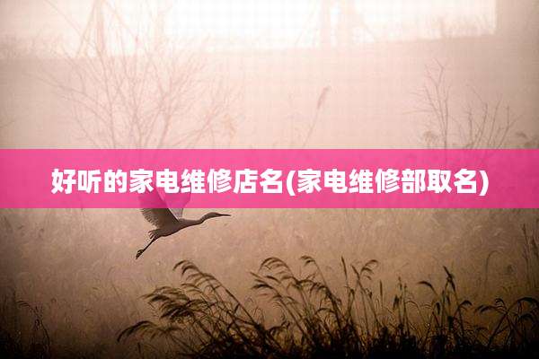 好听的家电维修店名(家电维修部取名)