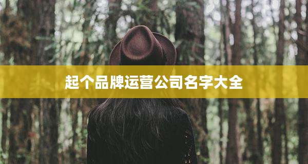 起个品牌运营公司名字大全