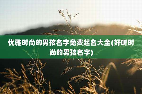 优雅时尚的男孩名字免费起名大全(好听时尚的男孩名字)