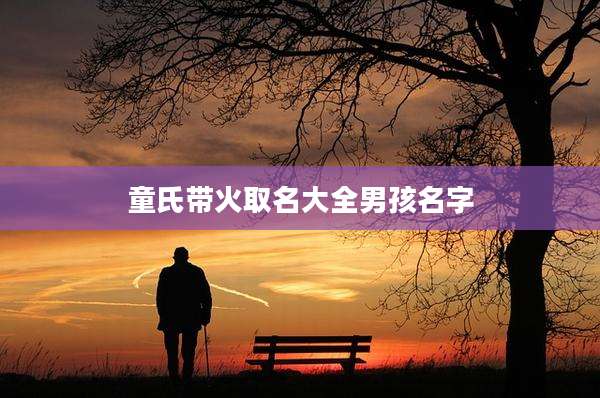 童氏带火取名大全男孩名字