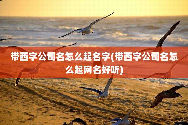 带西字公司名怎么起名字(带西字公司名怎么起网名好听)