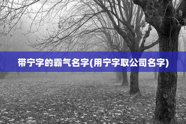 带宁字的霸气名字(用宁字取公司名字)
