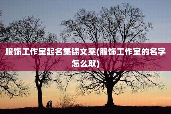 服饰工作室起名集锦文案(服饰工作室的名字怎么取)