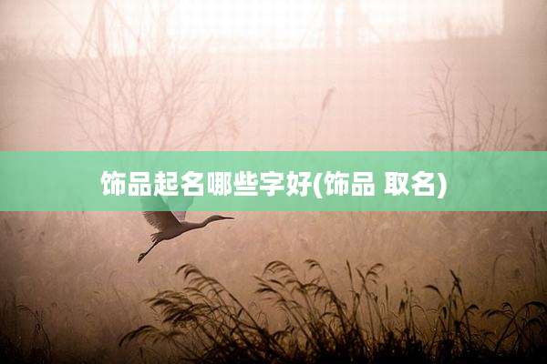 饰品起名哪些字好(饰品 取名)