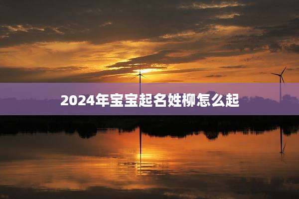 2024年宝宝起名姓柳怎么起