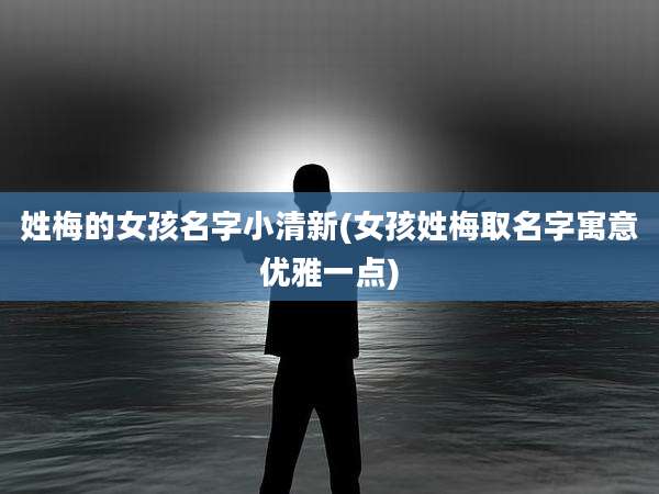 姓梅的女孩名字小清新(女孩姓梅取名字寓意优雅一点)