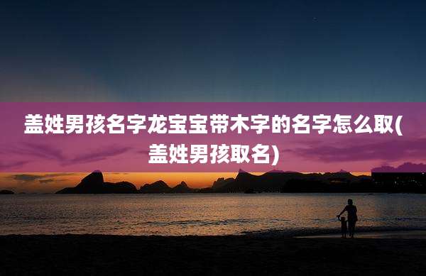 盖姓男孩名字龙宝宝带木字的名字怎么取(盖姓男孩取名)