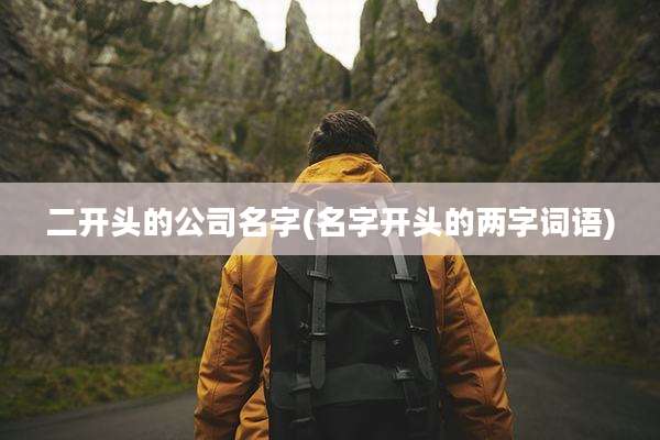 二开头的公司名字(名字开头的两字词语)