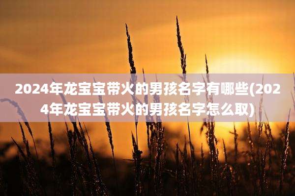2024年龙宝宝带火的男孩名字有哪些(2024年龙宝宝带火的男孩名字怎么取)
