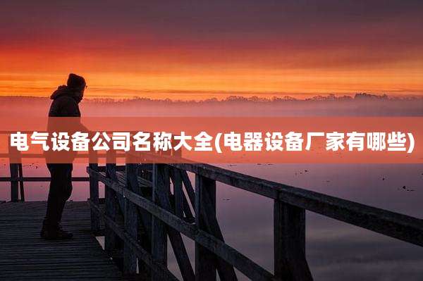 电气设备公司名称大全(电器设备厂家有哪些)
