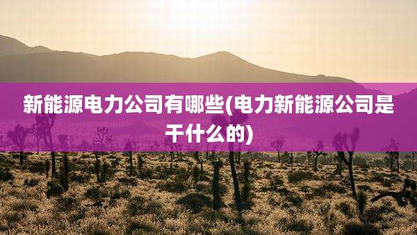 新能源电力公司有哪些(电力新能源公司是干什么的)