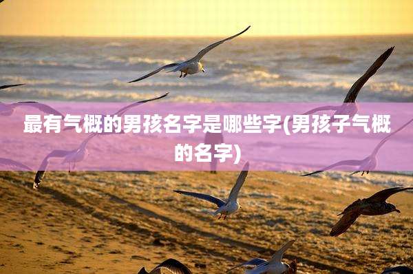 最有气概的男孩名字是哪些字(男孩子气概的名字)