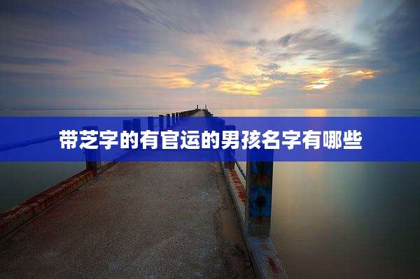 带芝字的有官运的男孩名字有哪些