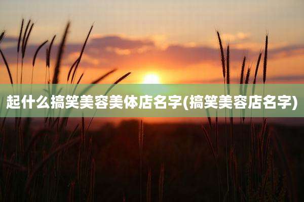 起什么搞笑美容美体店名字(搞笑美容店名字)