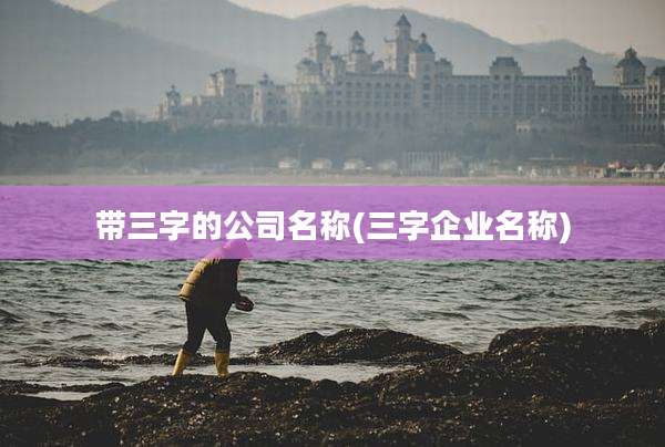 带三字的公司名称(三字企业名称)