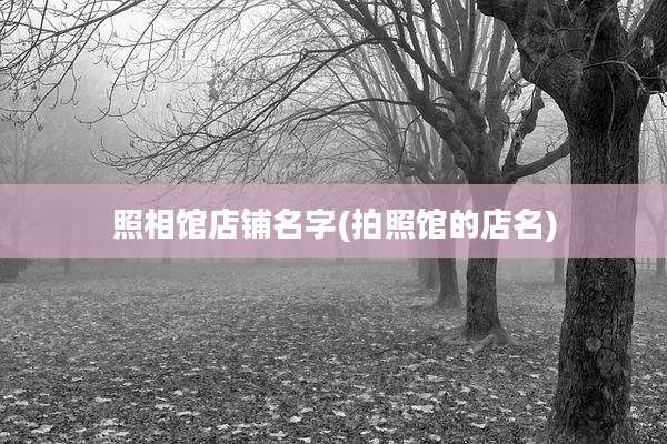 照相馆店铺名字(拍照馆的店名)
