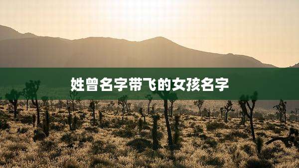 姓曾名字带飞的女孩名字