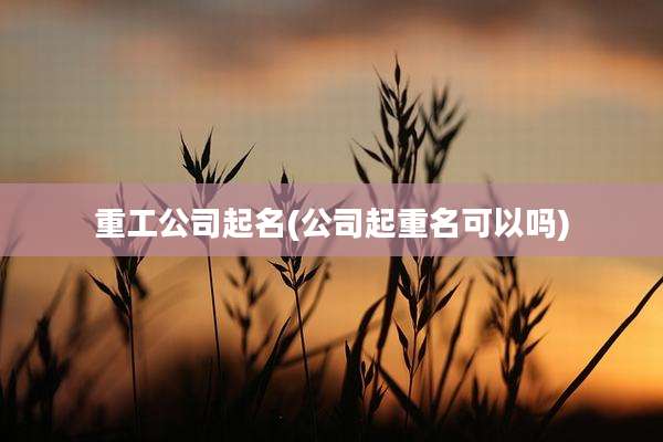 重工公司起名(公司起重名可以吗)