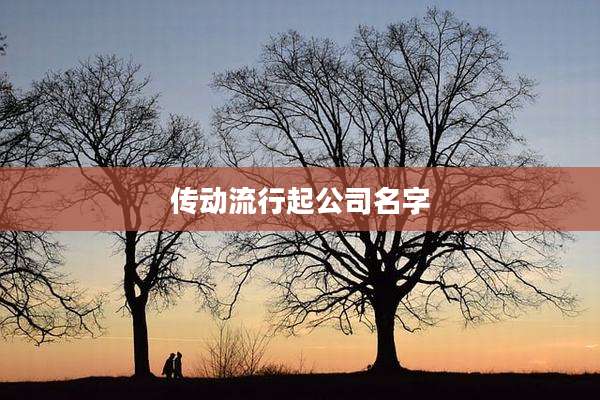 传动流行起公司名字