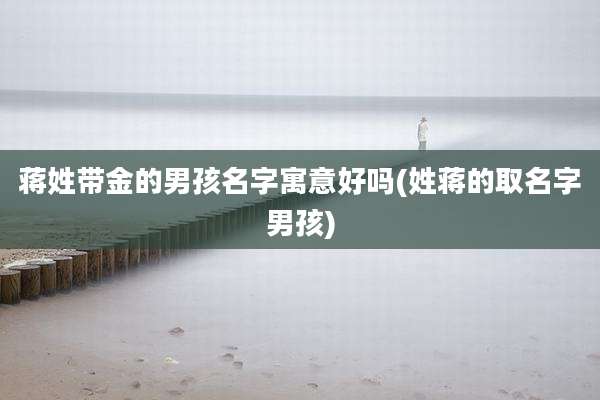 蒋姓带金的男孩名字寓意好吗(姓蒋的取名字男孩)
