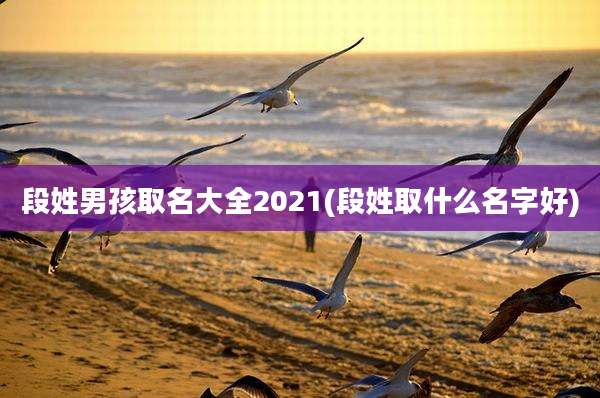 段姓男孩取名大全2021(段姓取什么名字好)