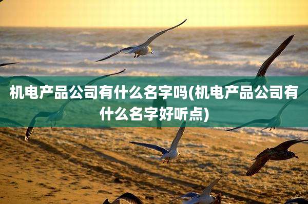 机电产品公司有什么名字吗(机电产品公司有什么名字好听点)