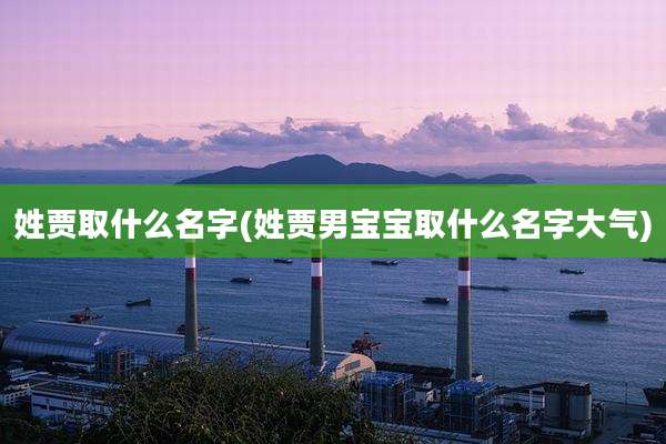 姓贾取什么名字(姓贾男宝宝取什么名字大气)
