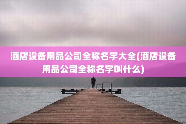 酒店设备用品公司全称名字大全(酒店设备用品公司全称名字叫什么)