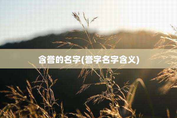 含誉的名字(誉字名字含义)