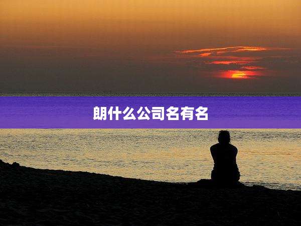 朗什么公司名有名