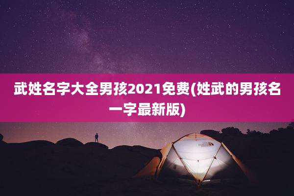 武姓名字大全男孩2021免费(姓武的男孩名一字最新版)