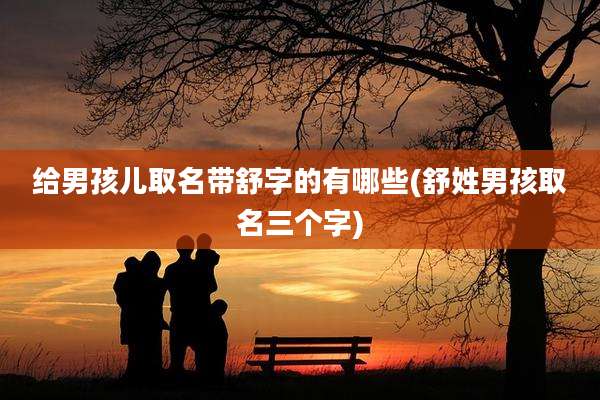给男孩儿取名带舒字的有哪些(舒姓男孩取名三个字)