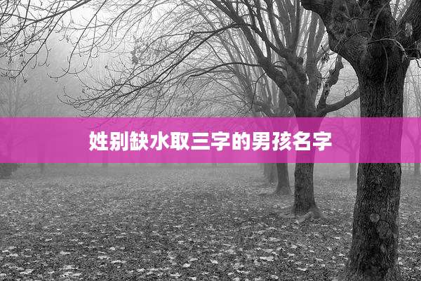 姓别缺水取三字的男孩名字