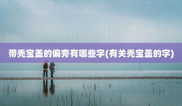 带秃宝盖的偏旁有哪些字(有关秃宝盖的字)