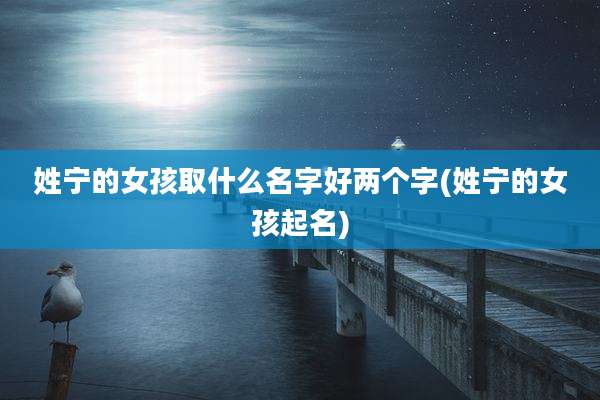 姓宁的女孩取什么名字好两个字(姓宁的女孩起名)