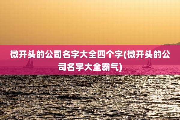 微开头的公司名字大全四个字(微开头的公司名字大全霸气)