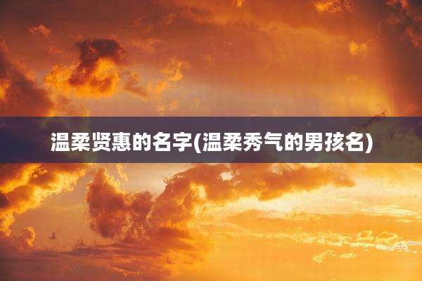 温柔贤惠的名字(温柔秀气的男孩名)