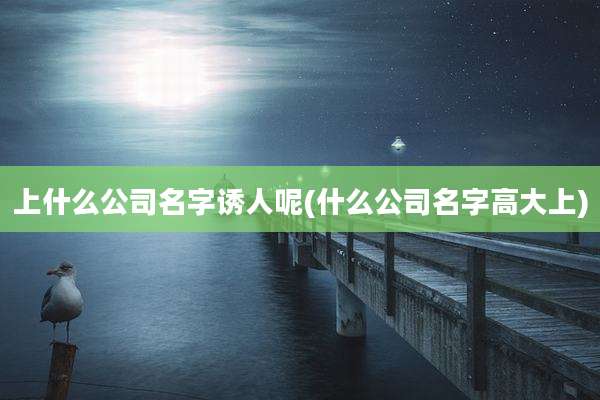 上什么公司名字诱人呢(什么公司名字高大上)