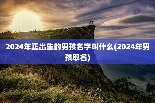 2024年正出生的男孩名字叫什么(2024年男孩取名)