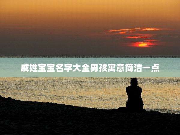 戚姓宝宝名字大全男孩寓意简洁一点