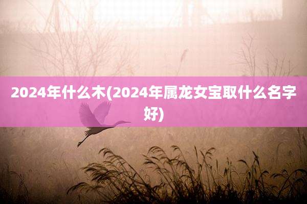 2024年什么木(2024年属龙女宝取什么名字好)