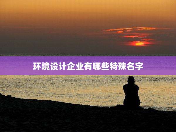 环境设计企业有哪些特殊名字
