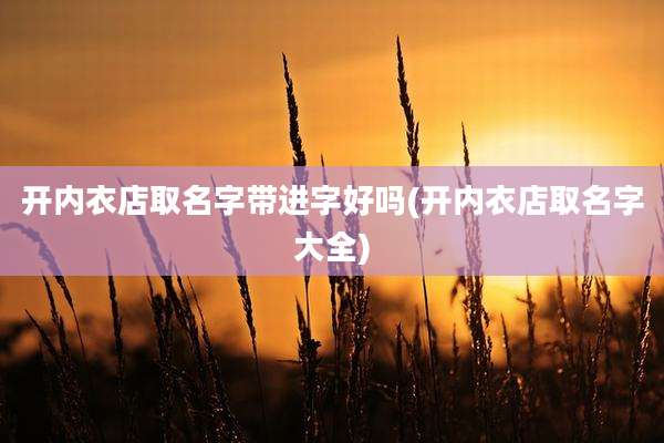 开内衣店取名字带进字好吗(开内衣店取名字大全)